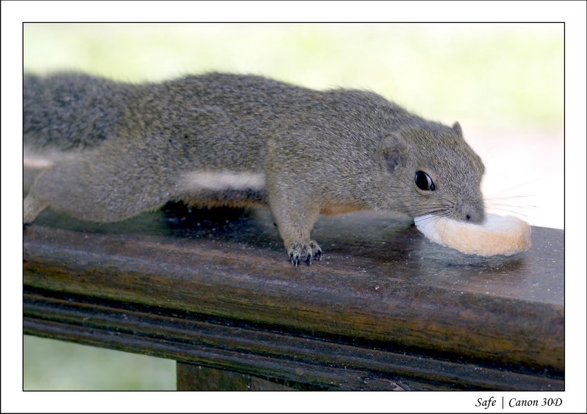 2008 - 07 - Redang - 179